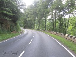 2025-07-09_BizzRiders_Event-Autopolis