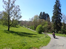 2026-04-26_Motorbike-Emotion_OrigiNell
