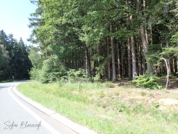 2026-06-21_Une-Grimace-Un-Sourire