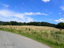 2026-06-28_Motorbike-Emotion_Balade-Gourmande